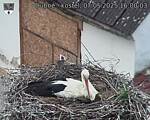 Capi_Dubne_20250507_160003.jpg