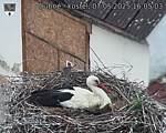 Capi_Dubne_20250507_160503.jpg