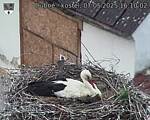Capi_Dubne_20250507_161002.jpg