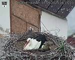 Capi_Dubne_20250507_161503.jpg