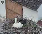 Capi_Dubne_20250507_163503.jpg