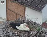 Capi_Dubne_20250507_165002.jpg