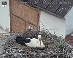 Capi_Dubne_20250507_165503.jpg