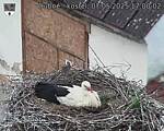 Capi_Dubne_20250507_170002.jpg