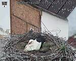 Capi_Dubne_20250507_171503.jpg