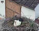 Capi_Dubne_20250507_172004.jpg