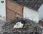 Capi_Dubne_20250507_173503.jpg