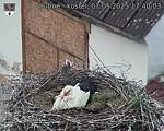 Capi_Dubne_20250507_174003.jpg
