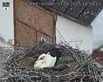 Capi_Dubne_20250507_180003.jpg