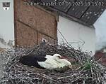 Capi_Dubne_20250507_181503.jpg