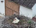Capi_Dubne_20250507_190003.jpg