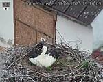 Capi_Dubne_20250507_191003.jpg
