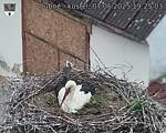 Capi_Dubne_20250507_192503.jpg