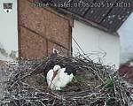 Capi_Dubne_20250507_193003.jpg