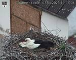 Capi_Dubne_20250507_193504.jpg