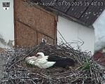 Capi_Dubne_20250507_194003.jpg