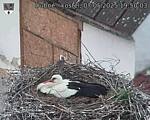 Capi_Dubne_20250507_195003.jpg