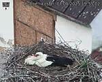 Capi_Dubne_20250507_195502.jpg