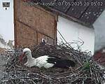 Capi_Dubne_20250507_200502.jpg