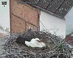 Capi_Dubne_20250507_201002.jpg