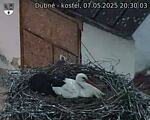Capi_Dubne_20250507_203003.jpg