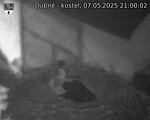 Capi_Dubne_20250507_210002.jpg