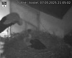 Capi_Dubne_20250507_210502.jpg