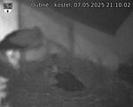 Capi_Dubne_20250507_211002.jpg