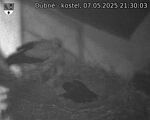 Capi_Dubne_20250507_213003.jpg