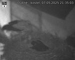 Capi_Dubne_20250507_213503.jpg