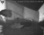 Capi_Dubne_20250507_214503.jpg