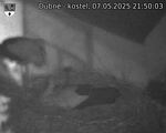 Capi_Dubne_20250507_215003.jpg