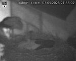 Capi_Dubne_20250507_215502.jpg