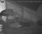 Capi_Dubne_20250507_220502.jpg