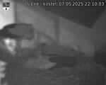 Capi_Dubne_20250507_221003.jpg