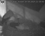Capi_Dubne_20250507_222002.jpg