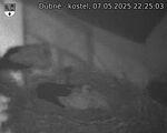 Capi_Dubne_20250507_222503.jpg