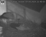 Capi_Dubne_20250507_224003.jpg
