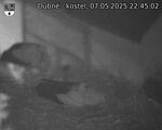 Capi_Dubne_20250507_224502.jpg