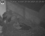 Capi_Dubne_20250507_232503.jpg