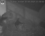 Capi_Dubne_20250507_233002.jpg