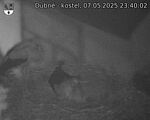 Capi_Dubne_20250507_234003.jpg