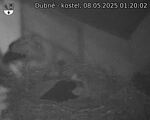 Capi_Dubne_20250508_012002.jpg
