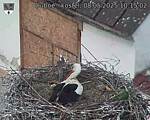 Capi_Dubne_20250508_101502.jpg