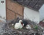 Capi_Dubne_20250508_144503.jpg