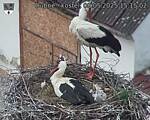 Capi_Dubne_20250508_151502.jpg