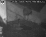 Capi_Dubne_20250508_213003.jpg