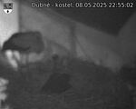 Capi_Dubne_20250508_225502.jpg