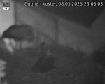 Capi_Dubne_20250508_230503.jpg
