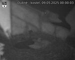 Capi_Dubne_20250509_000003.jpg